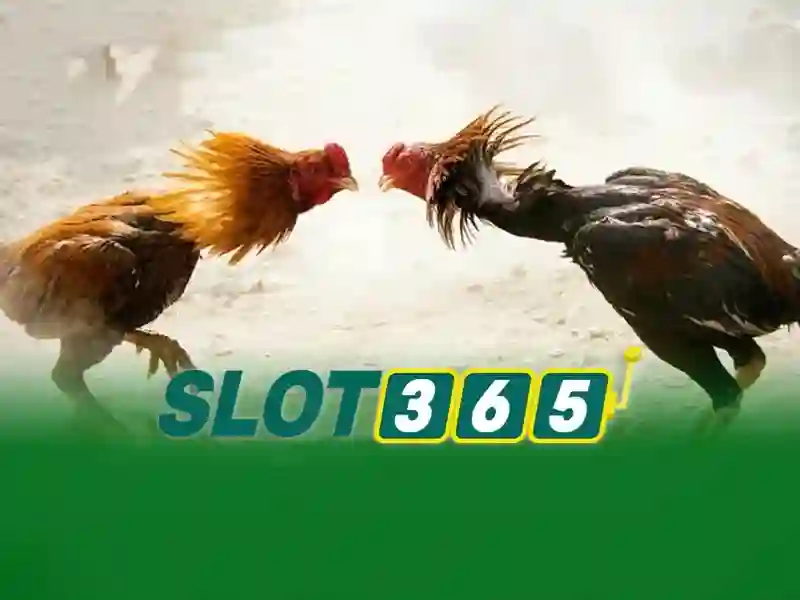 Giới thiệu về Slot365