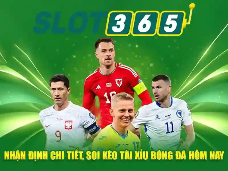 Trải nghiệm người dùng và giao diện