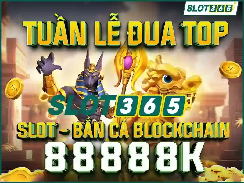 phiên bản mới Slot365 – Tổng quan và giá trị cốt lõi phiên bản mới Slot365 – Tổng quan và giá trị cốt lõi