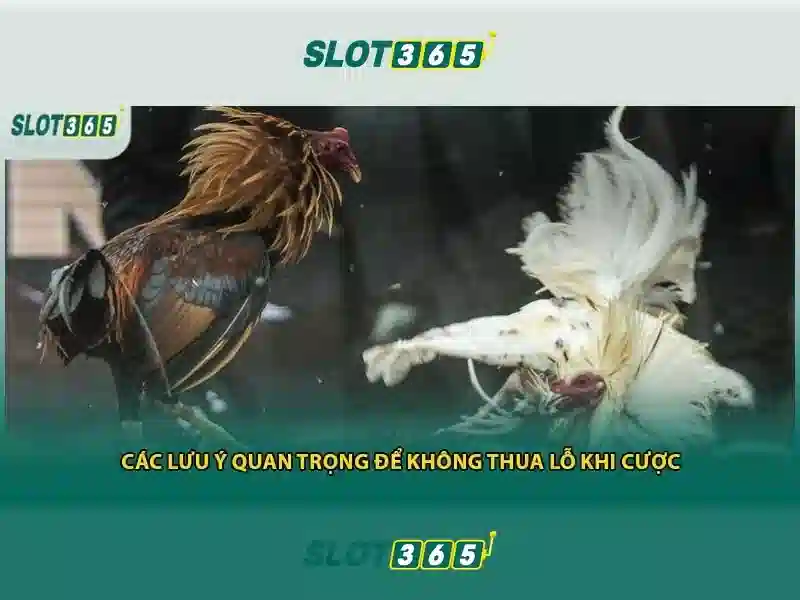 Cung cap tro choi slot da dang Cung cap tro choi slot da dang