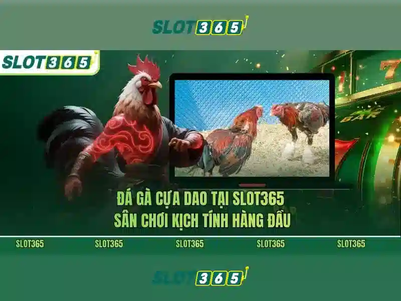 Slot365: Trải nghiệm chơi slot đỉnh cao trực tuyến