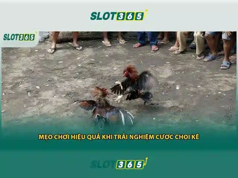Slot365 - Trải nghiệm slot trực tuyến hiện đại