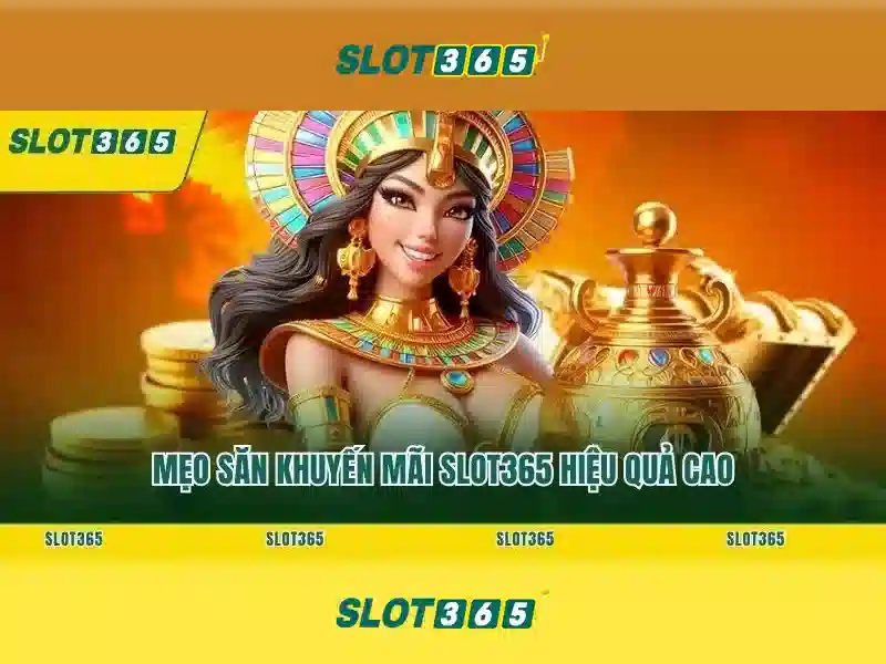 Giới thiệu về Slot365 và sự phổ biến