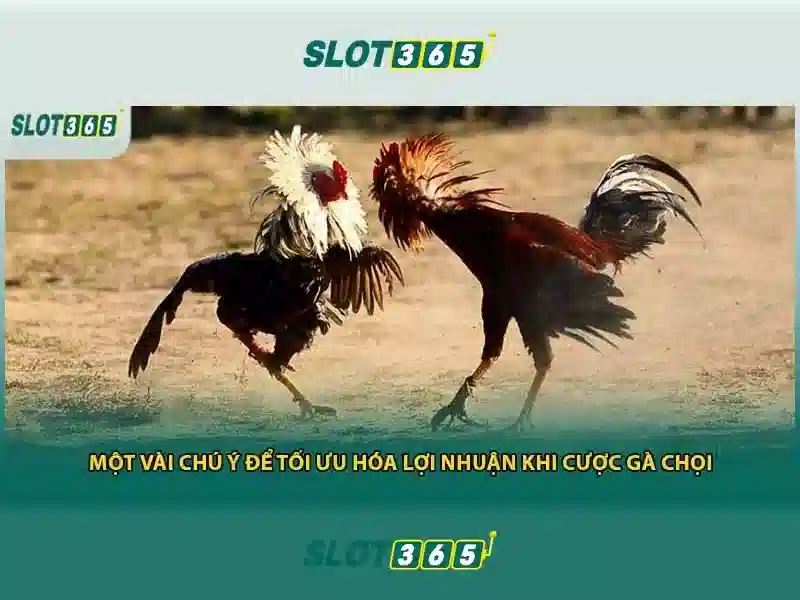 Nguồn gốc từ khóa và sứ mệnh