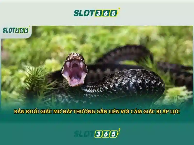 hỗ trợ Slot365 – Trải nghiệm và khuyến mãi nổi bật