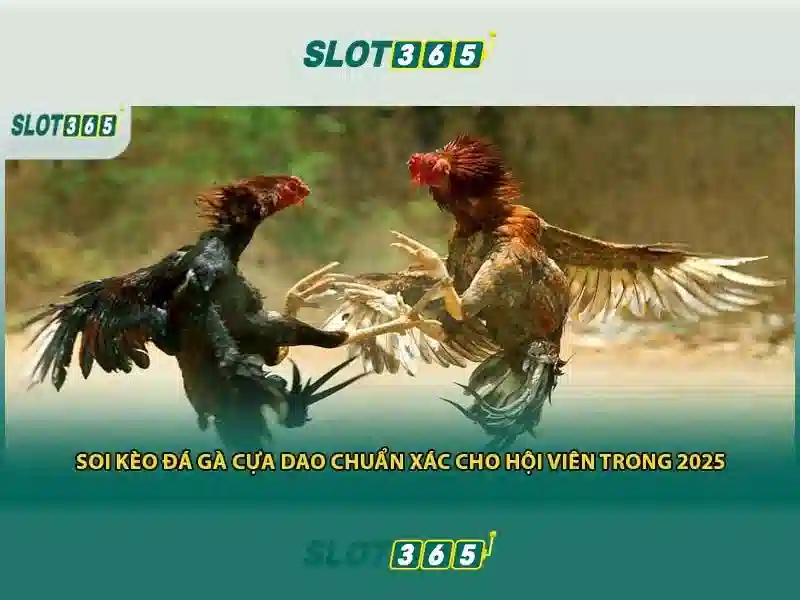 slot365 link alternatif – tổng quan chủ đề và giá trị cốt lõi