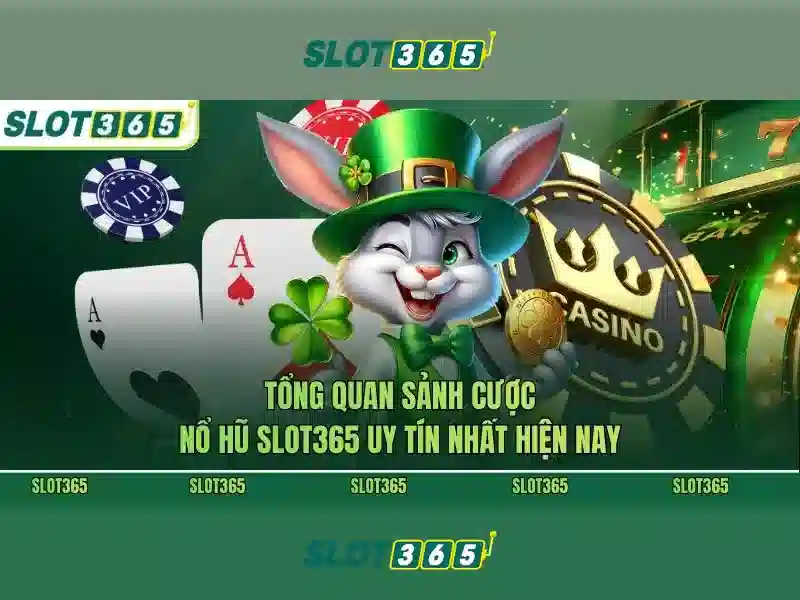 Slot365 là gì và tại sao nó được yêu thích