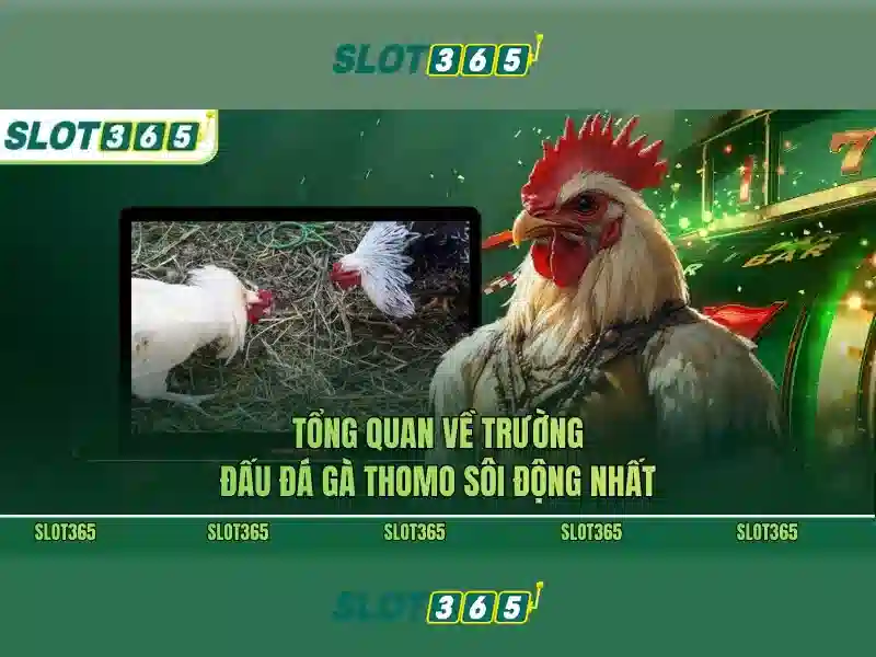 slot365 ios – Đánh giá, trải nghiệm và review Slot365 apk