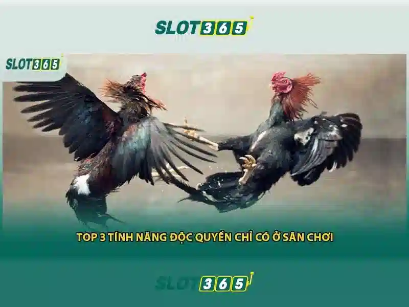 An toàn và bảo mật