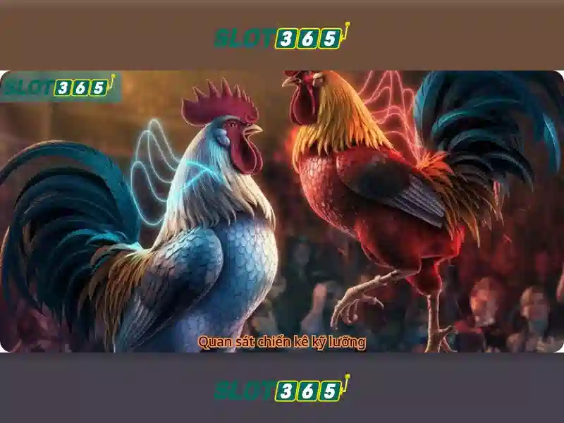 Slot365: Đánh giá và hướng dẫn chơi slot trực tuyến