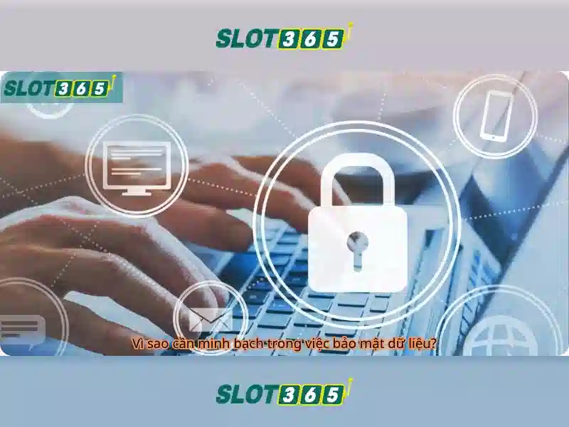 Slot365 là gì? Slot365 là gì?