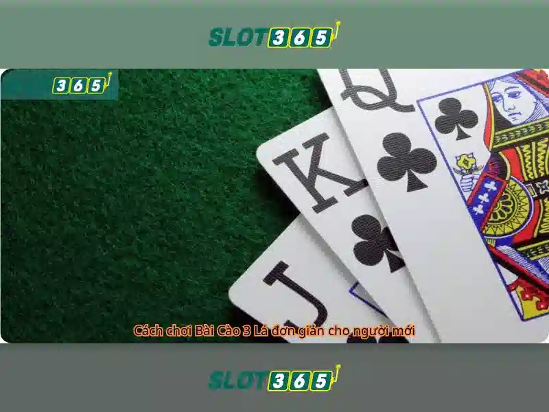 Slot365 là gì và tại sao được nhiều người yêu thích