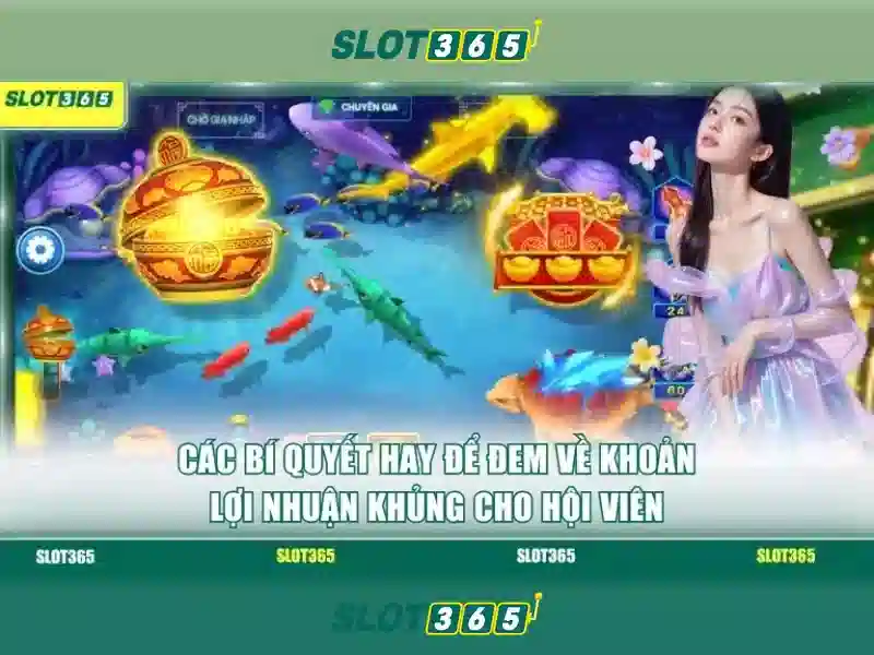 Slot365 - Giới thiệu