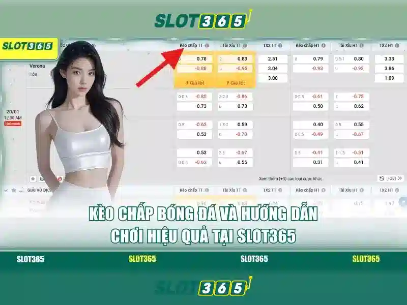 Giao diện người dùng và trải nghiệm