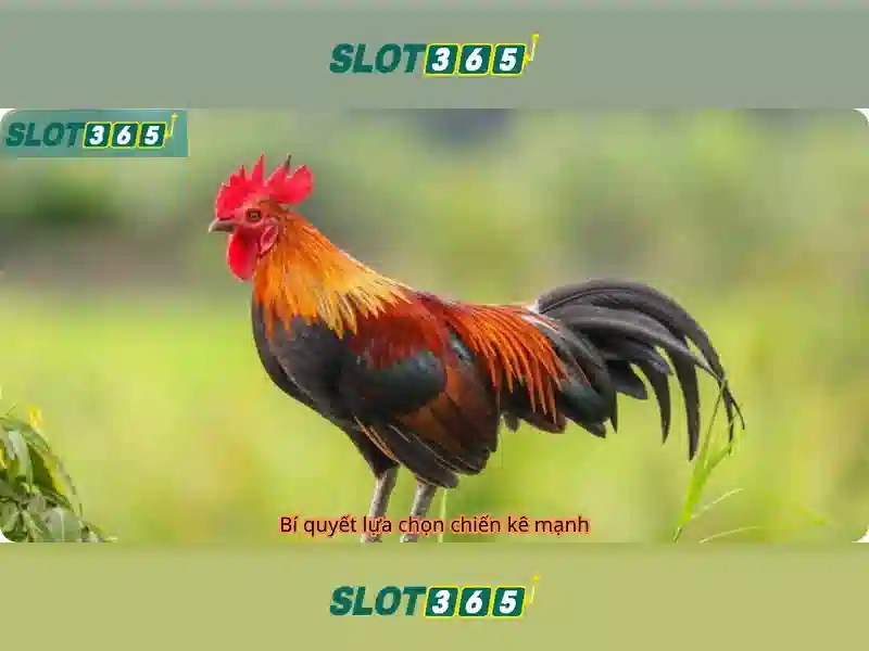 Các trò chơi nổi bật tại Slot365
