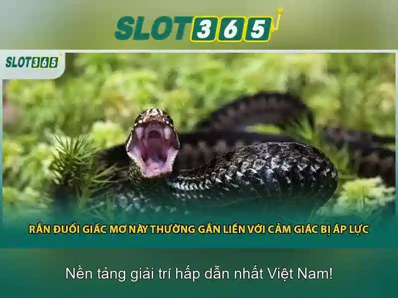 An toàn và pháp lý khi chơi Slot365