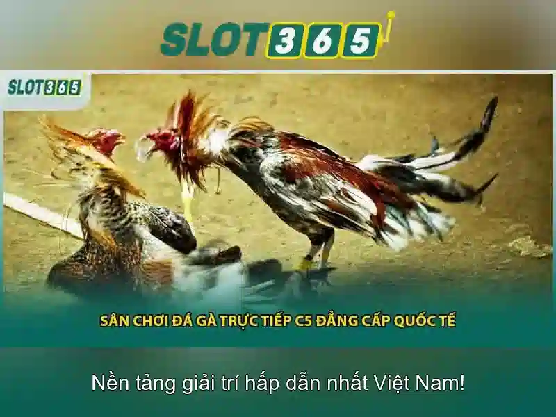 Các trò chơi nổi bật tại Slot365