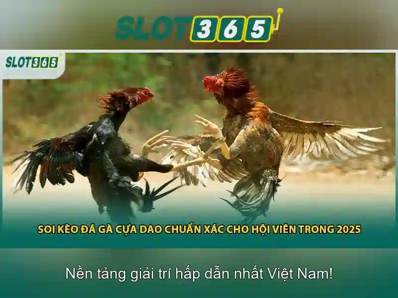 Khuyến mãi, thưởng và chương trình thành viên\n\n