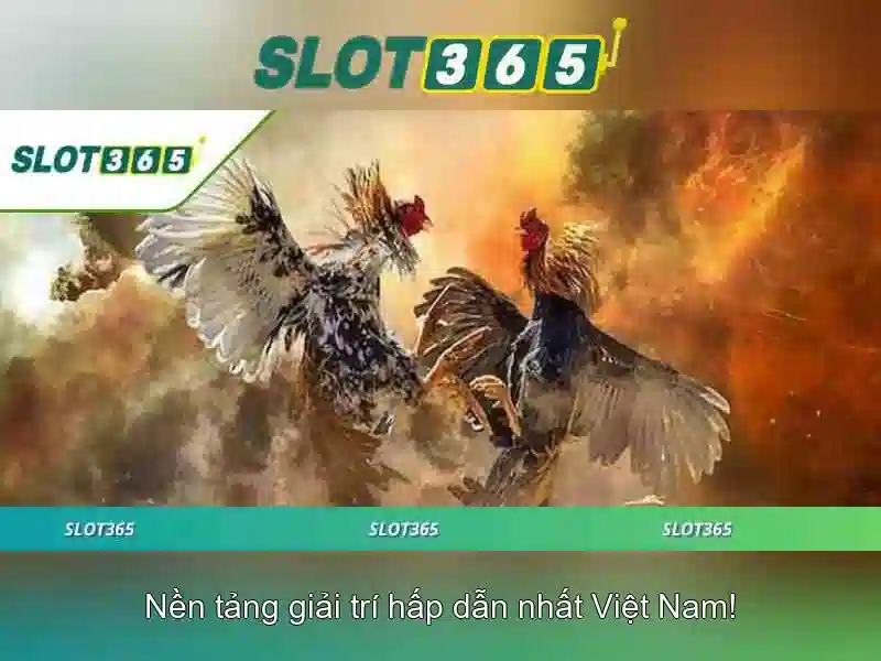 Slot365 là gì và tại sao nổi bật\n\n Slot365 là gì và tại sao nổi bật\n\n
