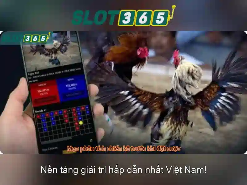 Slot365: Trải nghiệm slot trực tuyến an toàn và thú vị
