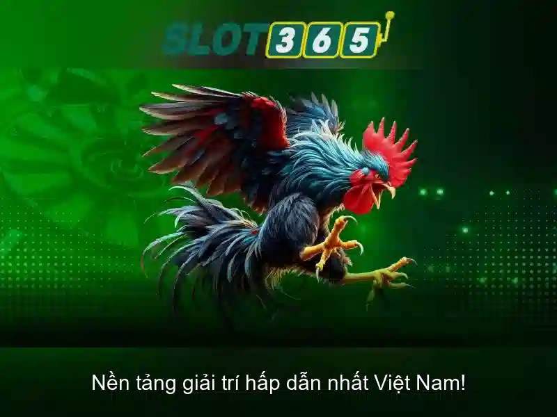 Khuyến mãi, bảo mật và hỗ trợ khách hàng 