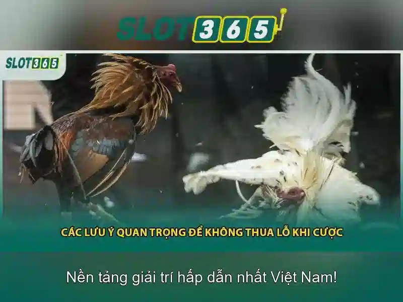 Slot365: Đánh giá, trò chơi và hướng dẫn chơi