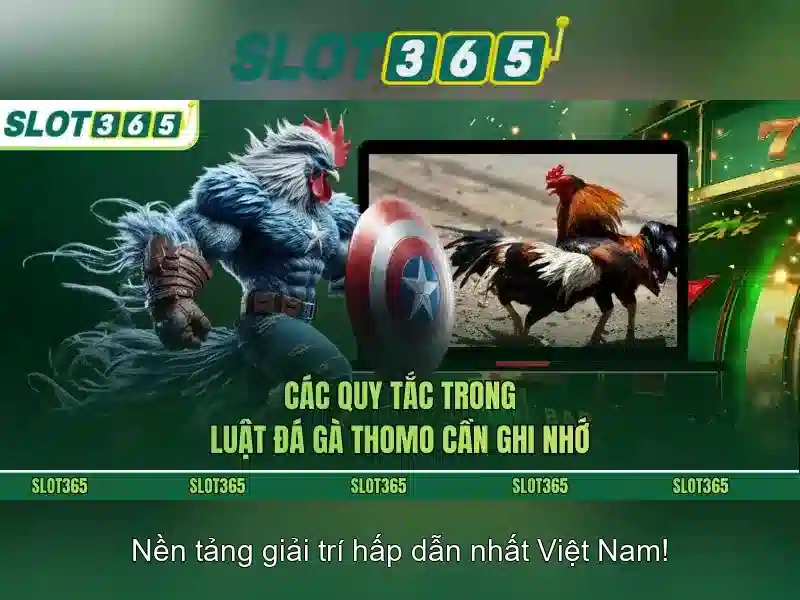 Hướng dẫn chơi an toàn và trách nhiệm Hướng dẫn chơi an toàn và trách nhiệm