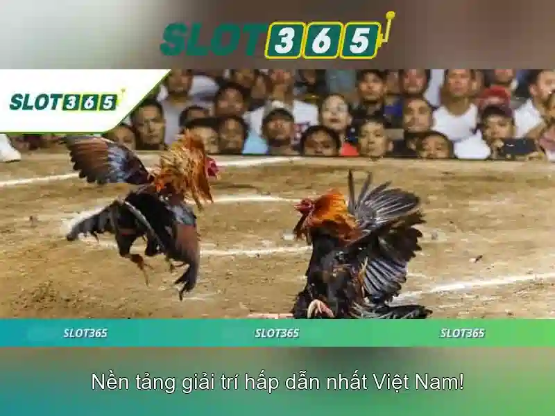 Mẹo chơi bắn cá 3 cây dễ ăn tiền nhà cái