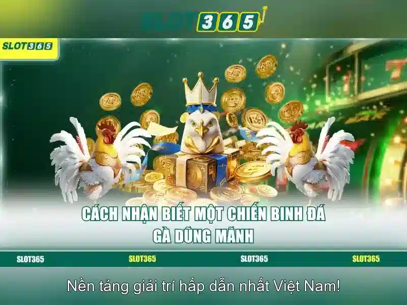 slot365 là gì – Tổng quan, trải nghiệm và đánh giá Slot365