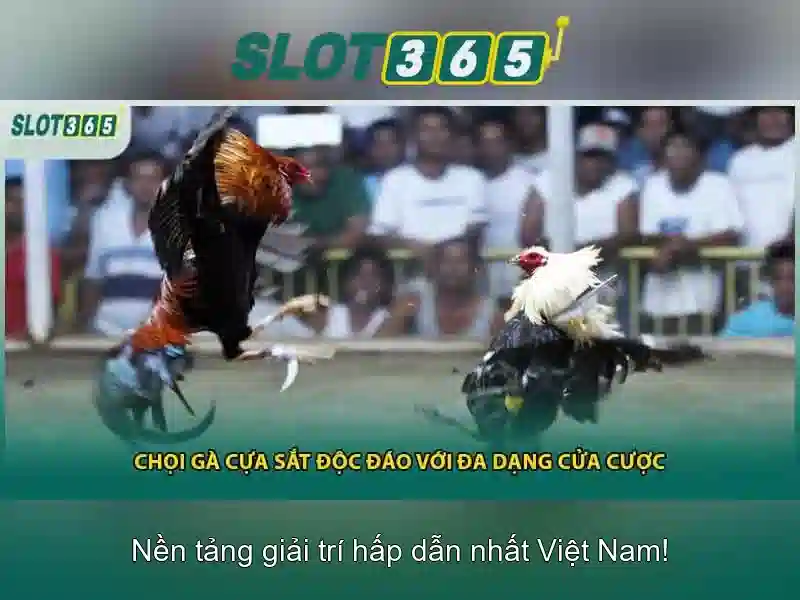 Slot365 là gì