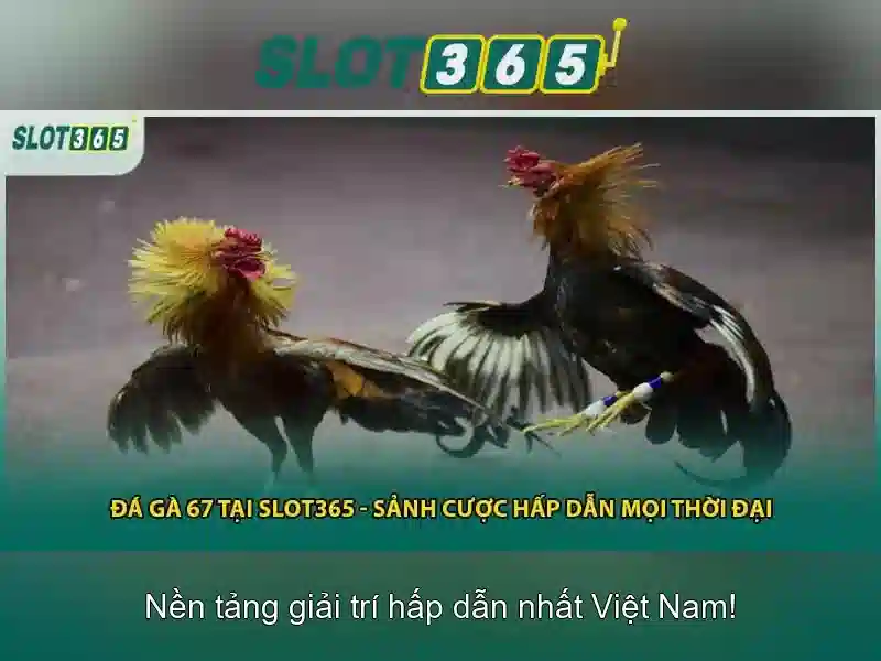 An toàn và thanh toán An toàn và thanh toán
