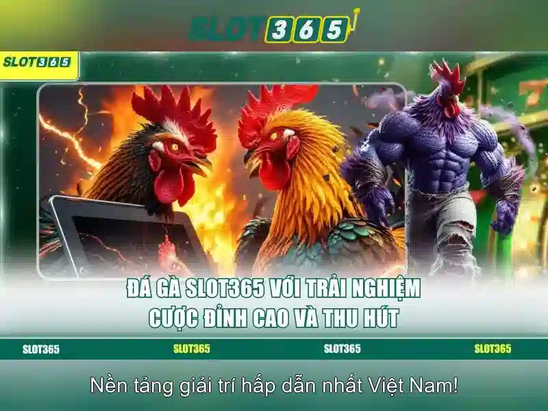 Slot365: Khám phá nền tảng slot trực tuyến hàng đầu