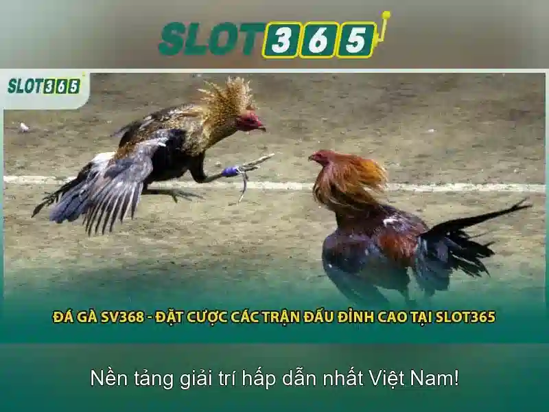 Mẹo chơi bắn cá 3 cây dễ ăn tiền nhà cái
