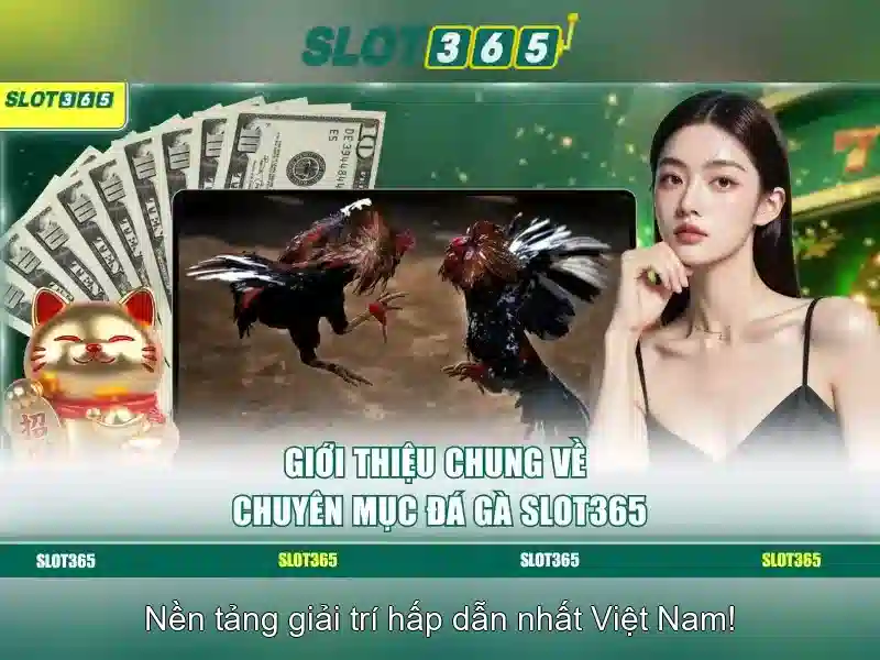 Lợi ích khi chơi tại Slot365