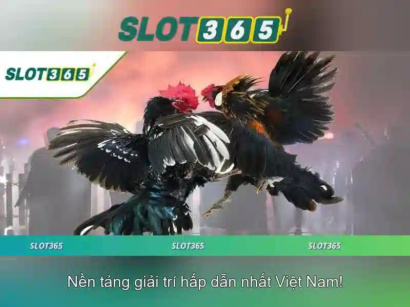 Slot365: Khám phá nền tảng chơi slot trực tuyến an toàn