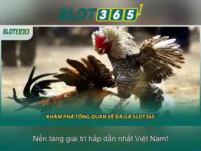 Slot365: Khám phá nền tảng slot hàng đầu