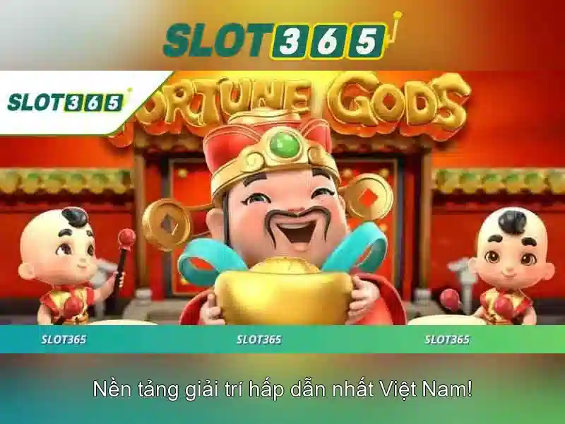 Trải nghiệm người dùng và phản hồi cộng đồng