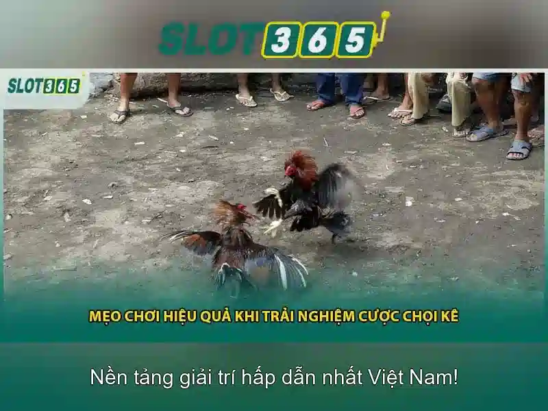 Tính năng và khuyến mãi