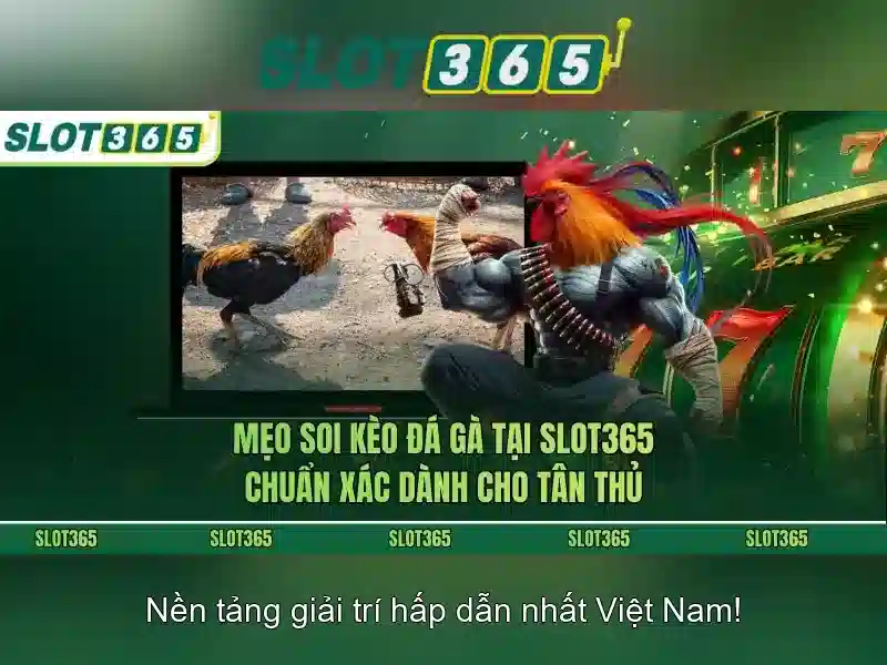 Slot365: Nền tảng máy xèng trực tuyến đáng tin cậy