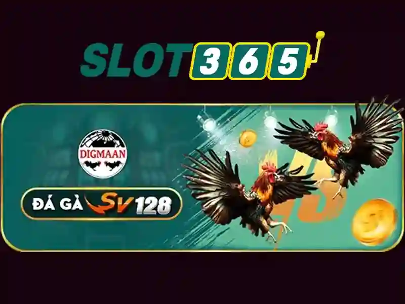 Slot365 – Nền tảng slot trực tuyến uy tín tại Việt Nam