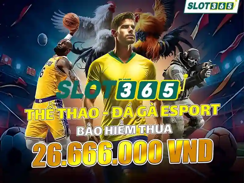Slot365 - Tổng quan và trải nghiệm nền tảng